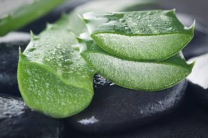 Les vertus de l’Aloe Vera