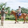 Débuter en équitation : quel équipement est indispensable ?
