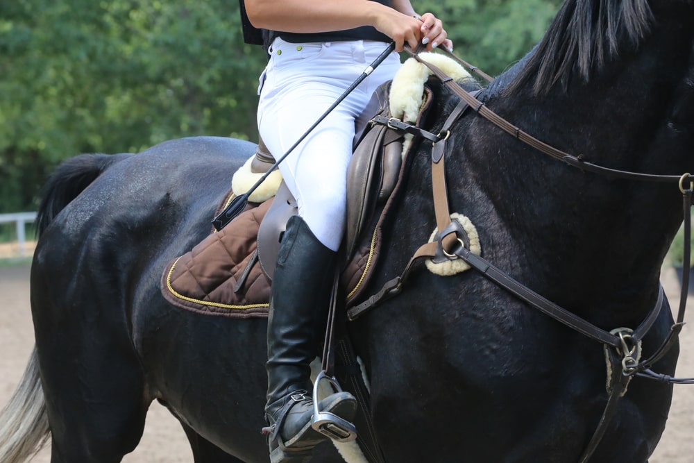 Les vêtements nécessaires pour débuter l’équitation